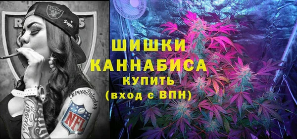 соль ск Алексин
