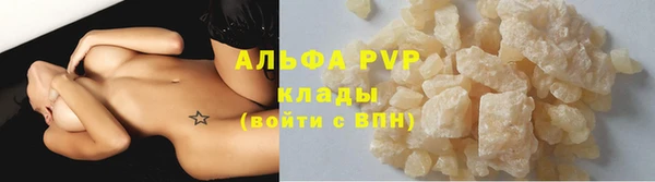 шишки Аркадак