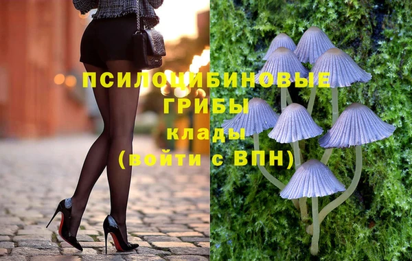 соль ск Алексин