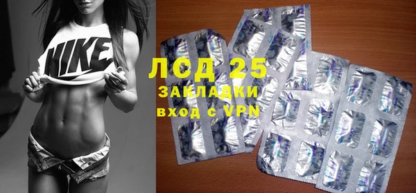 шишки Аркадак