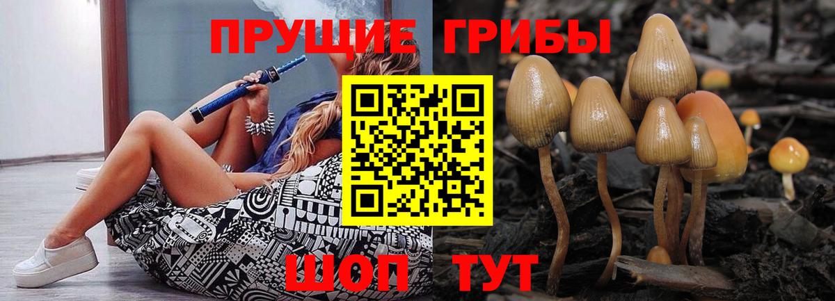 Псилоцибиновые грибы MAGIC MUSHROOMS Асино