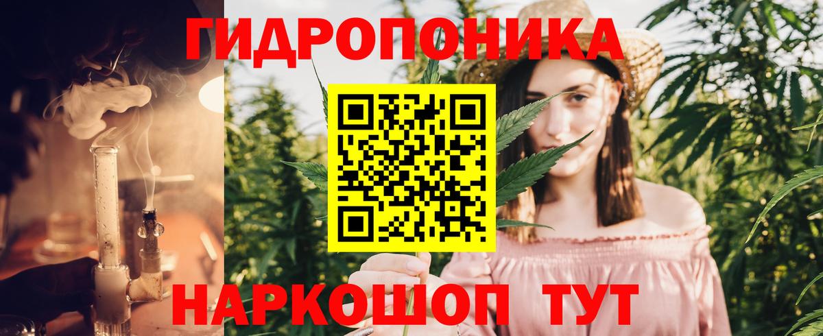 Канабис семена  Вход с VPN  Каннабис SATIVA & INDICA  Марихуана THC 21%  Шишки марихуана Amnesia  Асино 